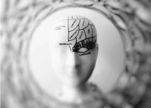 How Gambling Affects the Brain